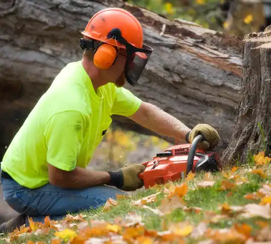 tree services Painted Post